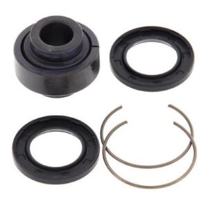LOWER REAR SHOCK BRG KIT - BETA RR '13-
