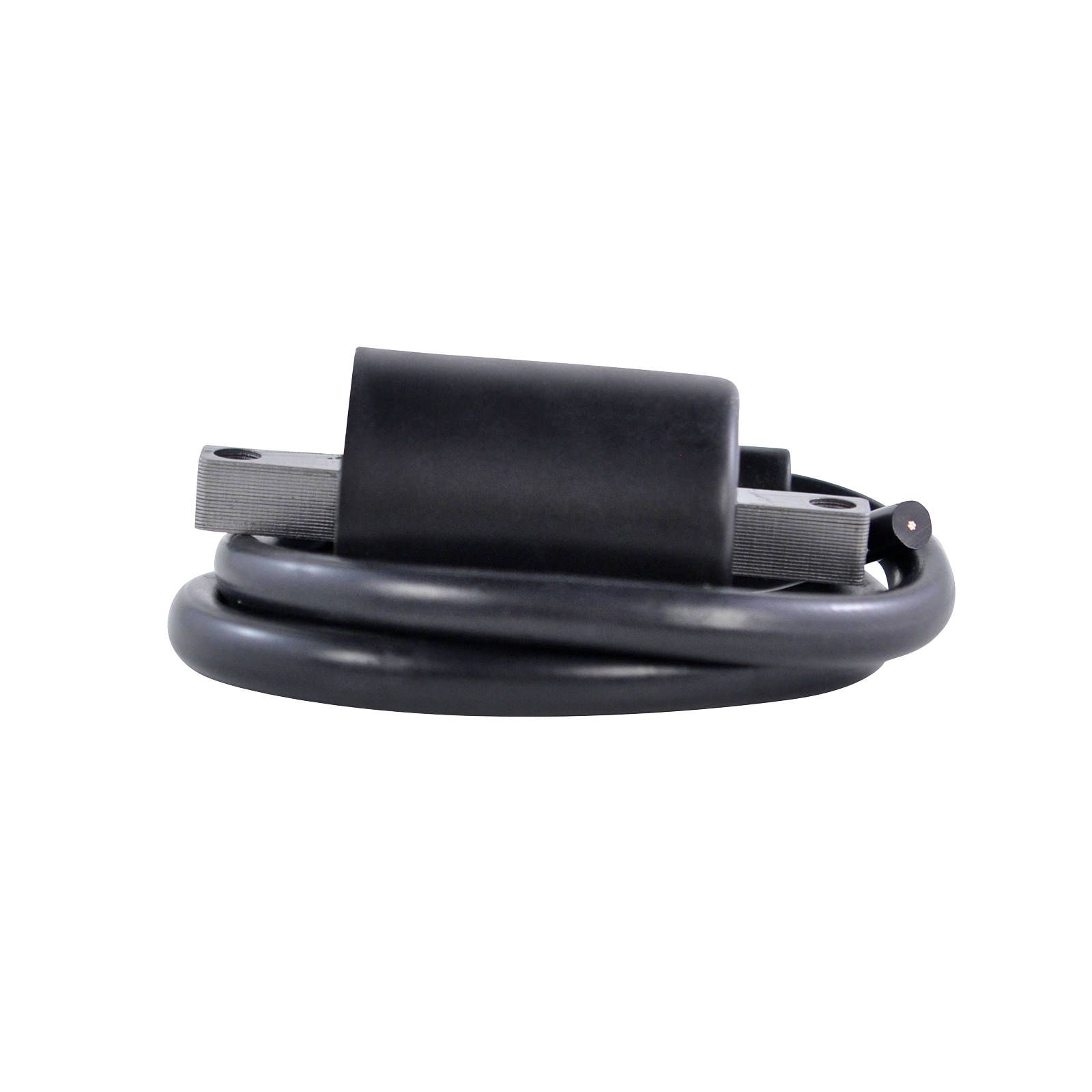 EXTERNAL IGNITION COIL ASSTD HON SUZ YAM (RM06154)