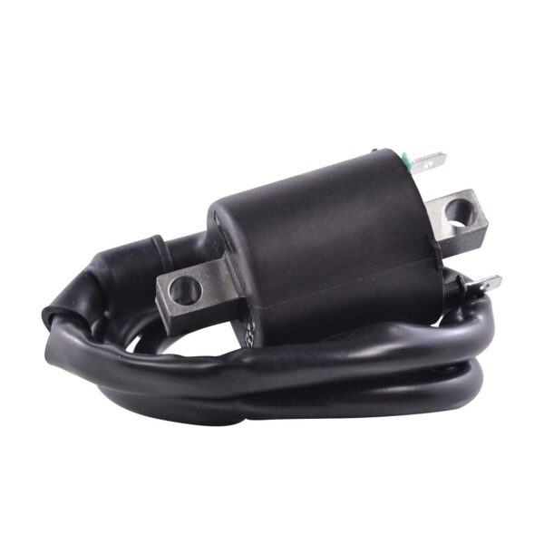 EXTERNAL IGNITION COIL ASSTD HON / KAW 2008-2020 (RM06162)