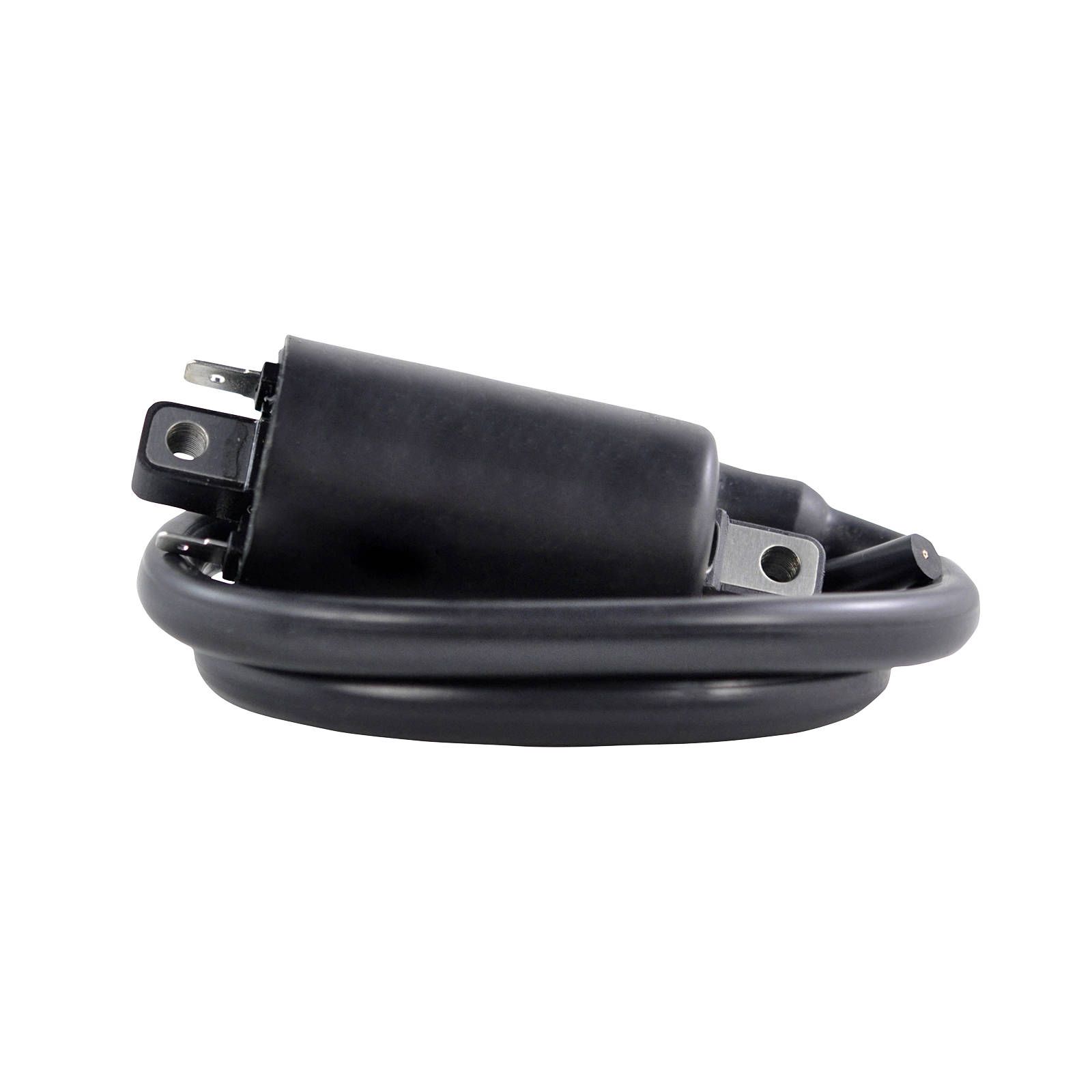 EXTERNAL IGNITION COIL ASSTD KAW / SUZ 2001-2020 (RM06176)