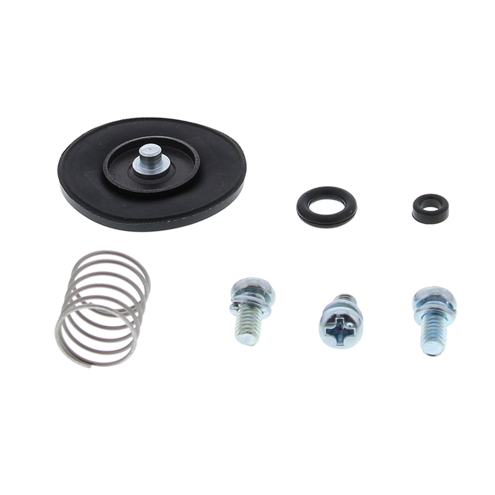 Accelerator Pump Rebuild Kit 46-3001