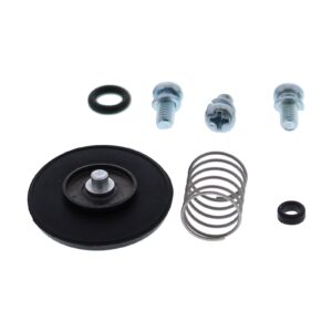 Accelerator Pump Rebuild Kit 46-3003
