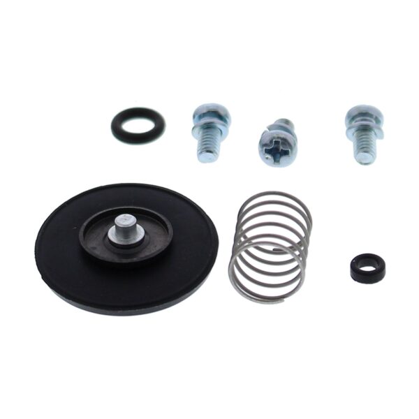 Accelerator Pump Rebuild Kit 46-3003