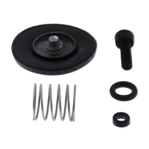 Accelerator Pump Rebuild Kit 46-3006