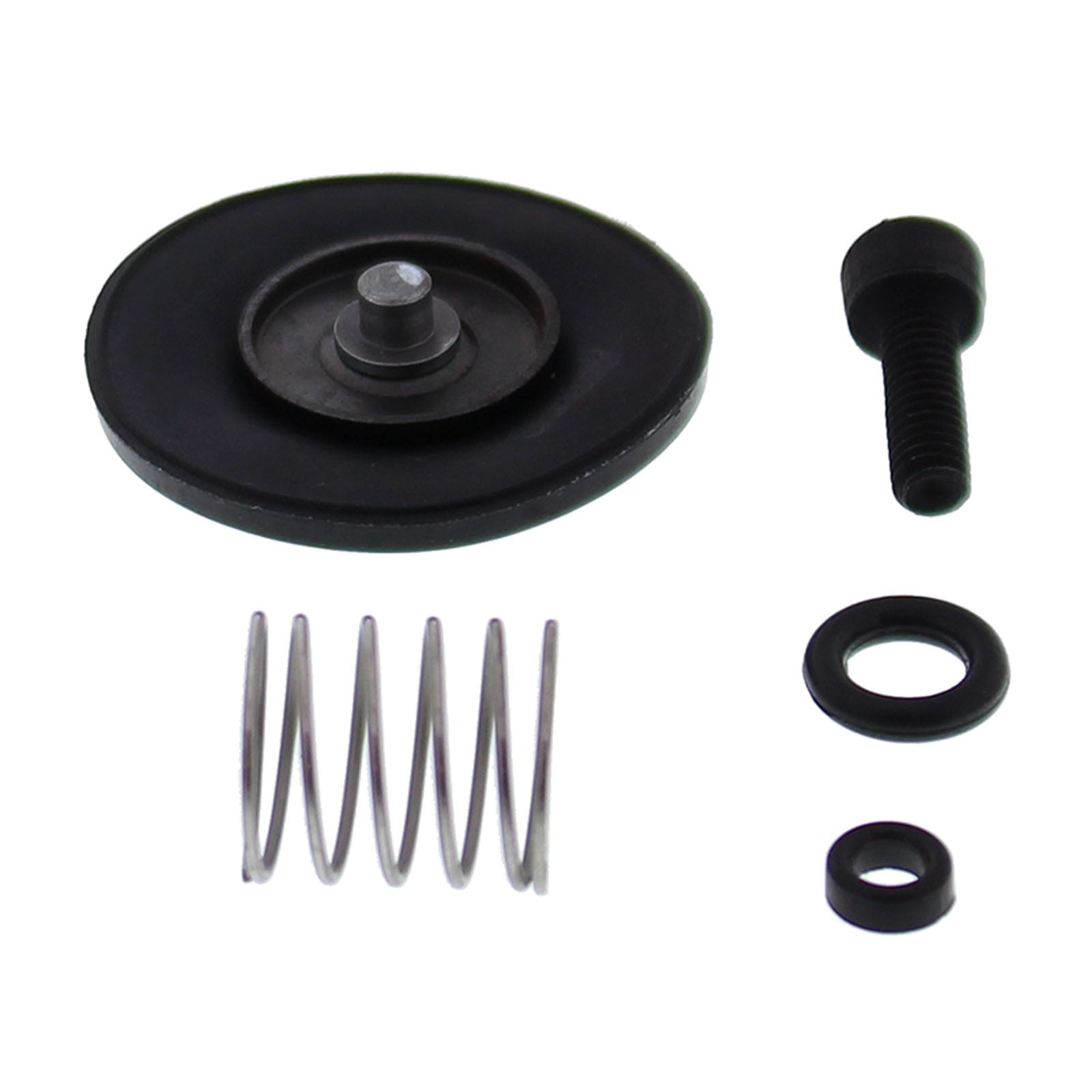 Accelerator Pump Rebuild Kit 46-3006