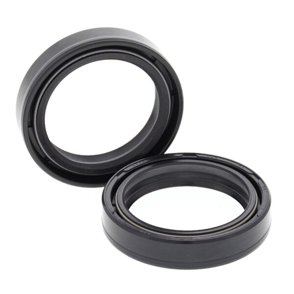 FORK SEALS PAIR 41x54x11 55-119