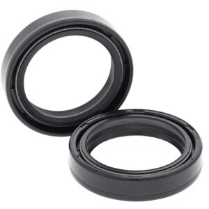 FORK SEALS PAIR 41x54x11 55-119