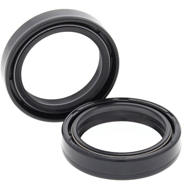 FORK SEALS PAIR 41x54x11 55-119