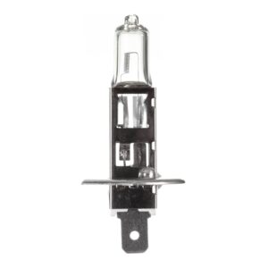 BULB 12V 55W H/L H1 HALOGEN (ea)