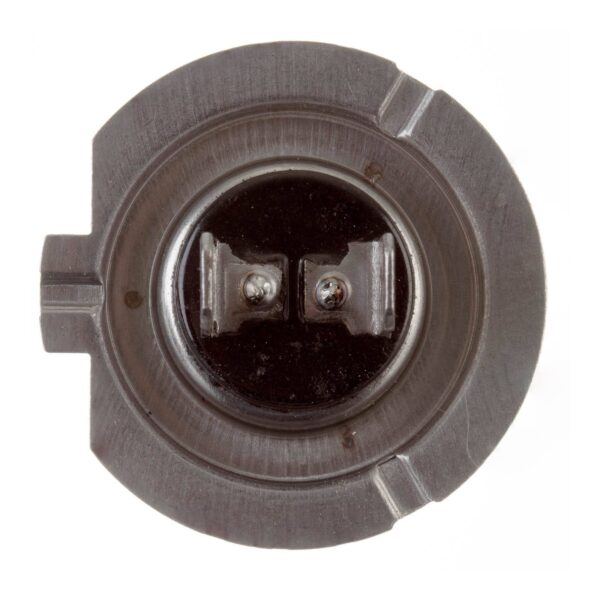 BULB 12V 55w H/L H7 HALOGEN (ea)
