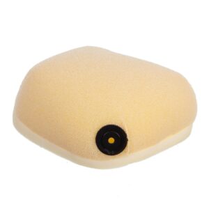 AIR FILTER BETA 2020-2021