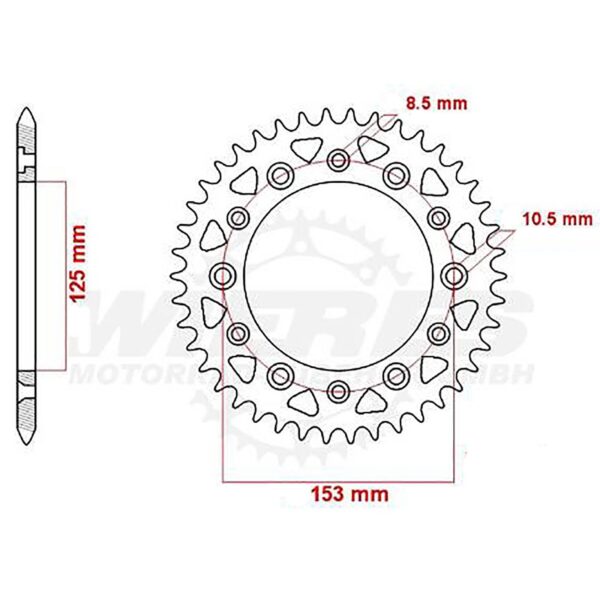SPKT REAR OE STEEL 210 / 301 48T #520