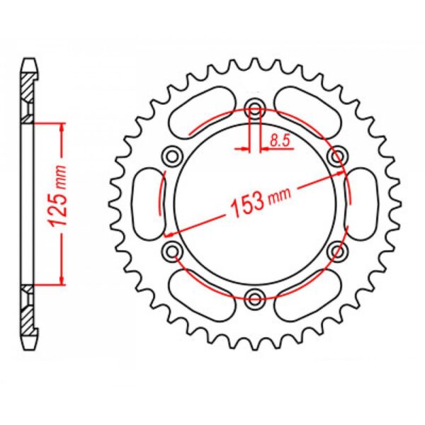 SPKT REAR OE STEEL 1258 49T #428
