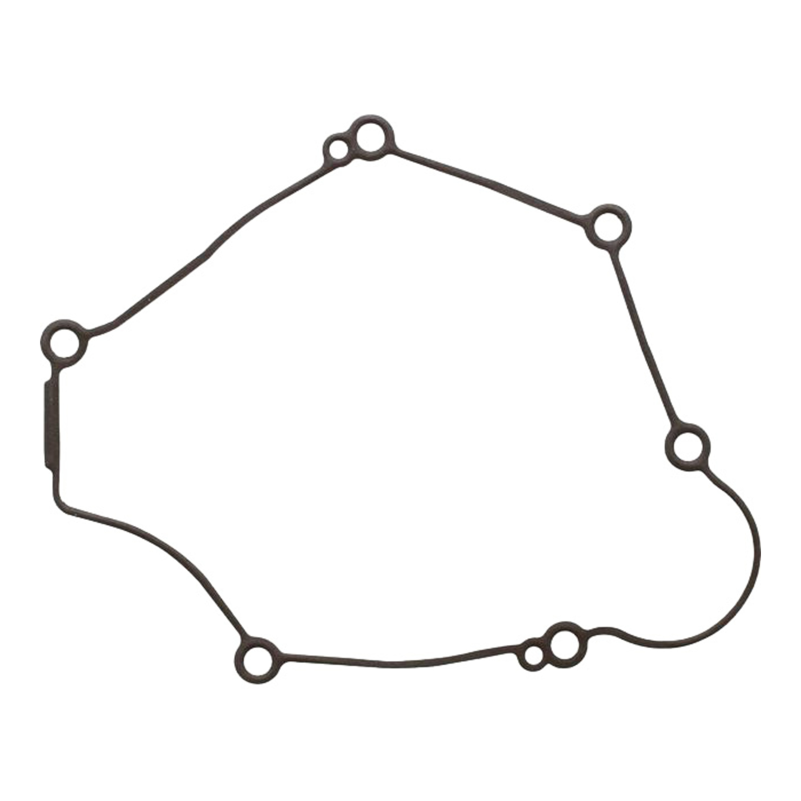 Ignition Cover Gasket Kit 816845