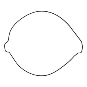 Outer Clutch Gasket Kit 819267