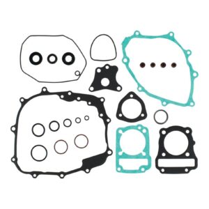 Complete Gasket Set with Oil Seals 8110043